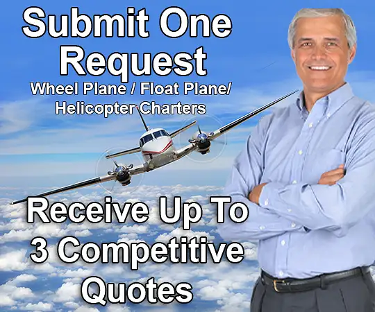 Graphic showing up to 3 competitive charter flight quotes